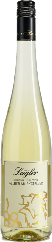 Gelber Muskateller 2024